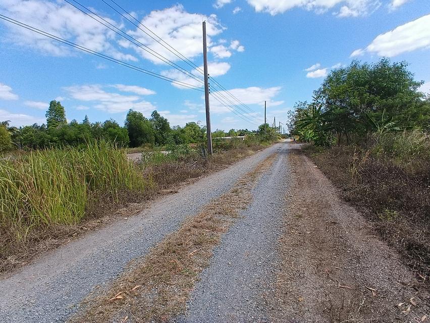 ขายที่ดิน 3 ไร่ คลอง12 ซอยสวนเกษตร2 ต.นพรัตน์ หนองเสือ ปทุมธานี 6