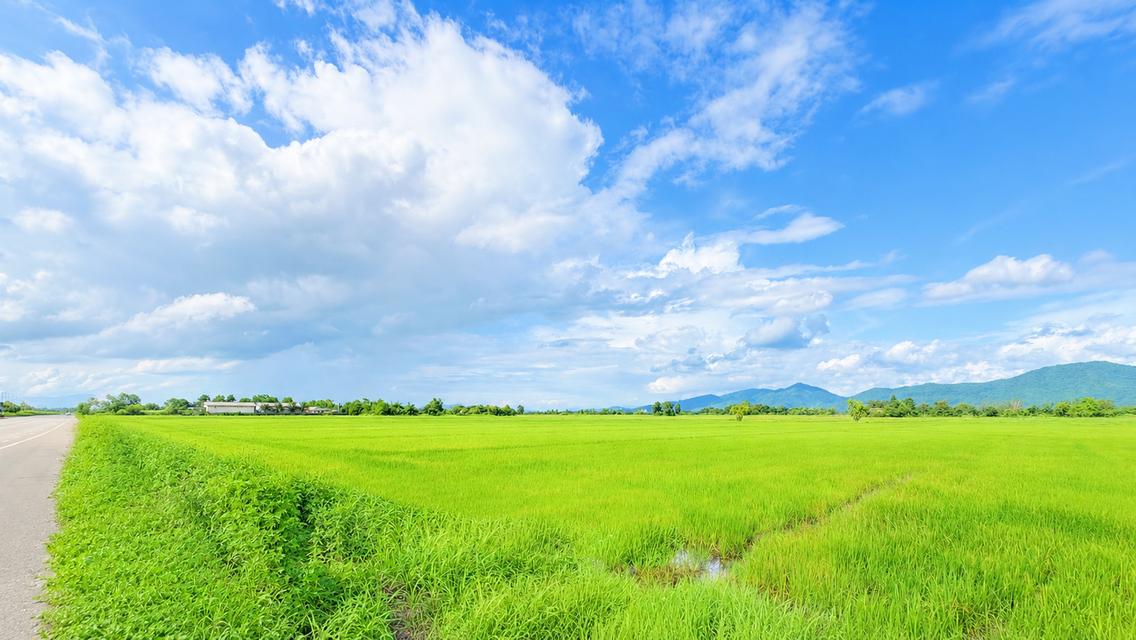 ที่ดินขนาดใหญ่ ใกล้เขตเศรษฐกิจการค้าชายแดนประเทศลาวและจีนตอนใต้ 3