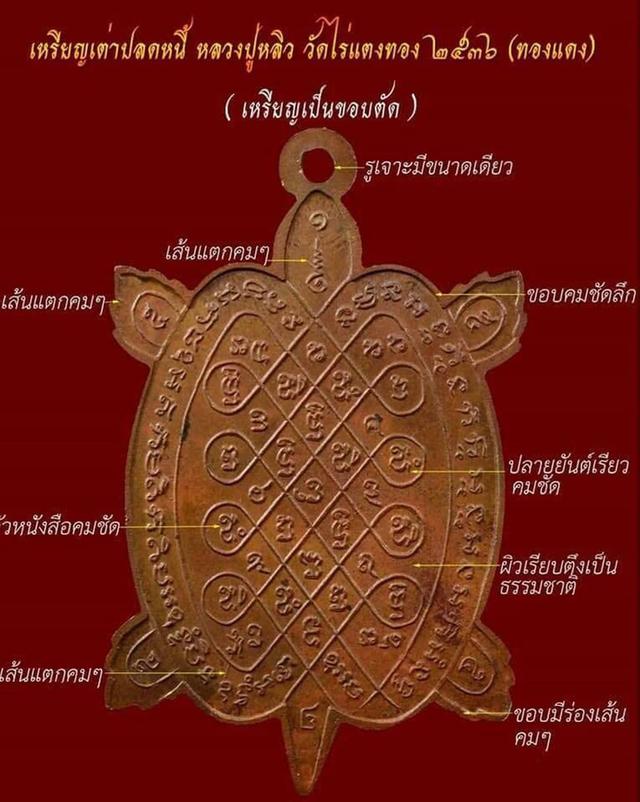 เหรียญพญาเต่าเรือน รุ่นปลดหนี้หลวงพ่อหลิว วัดไร่แตงทอง (รุ่นแรก) เนื้อทองแดง 6
