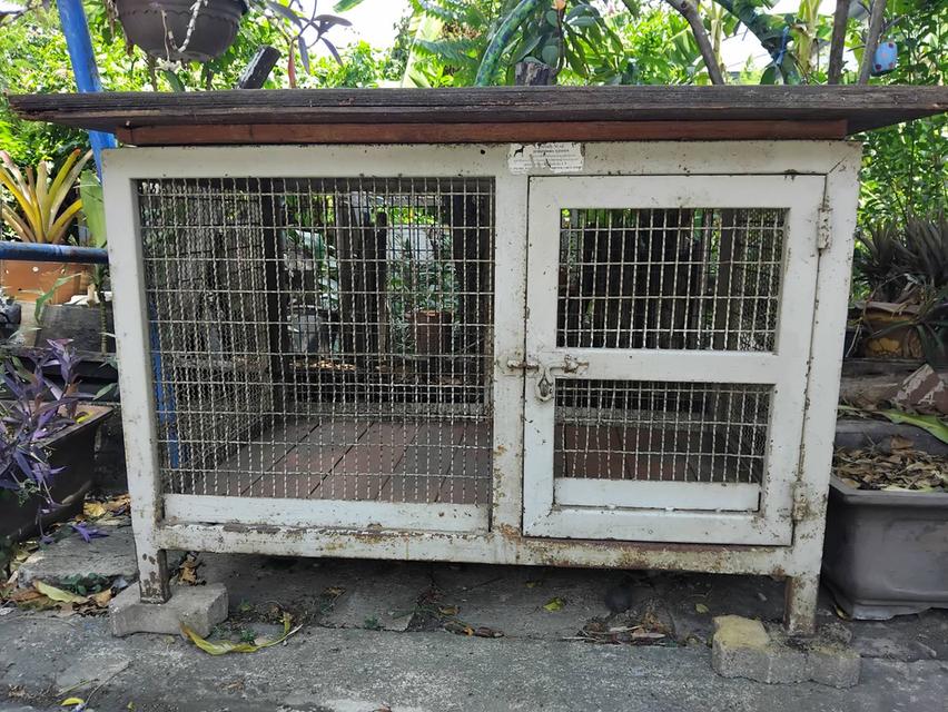 กรงเหล็กใส่สัตว์เล็กใหญ่ได้