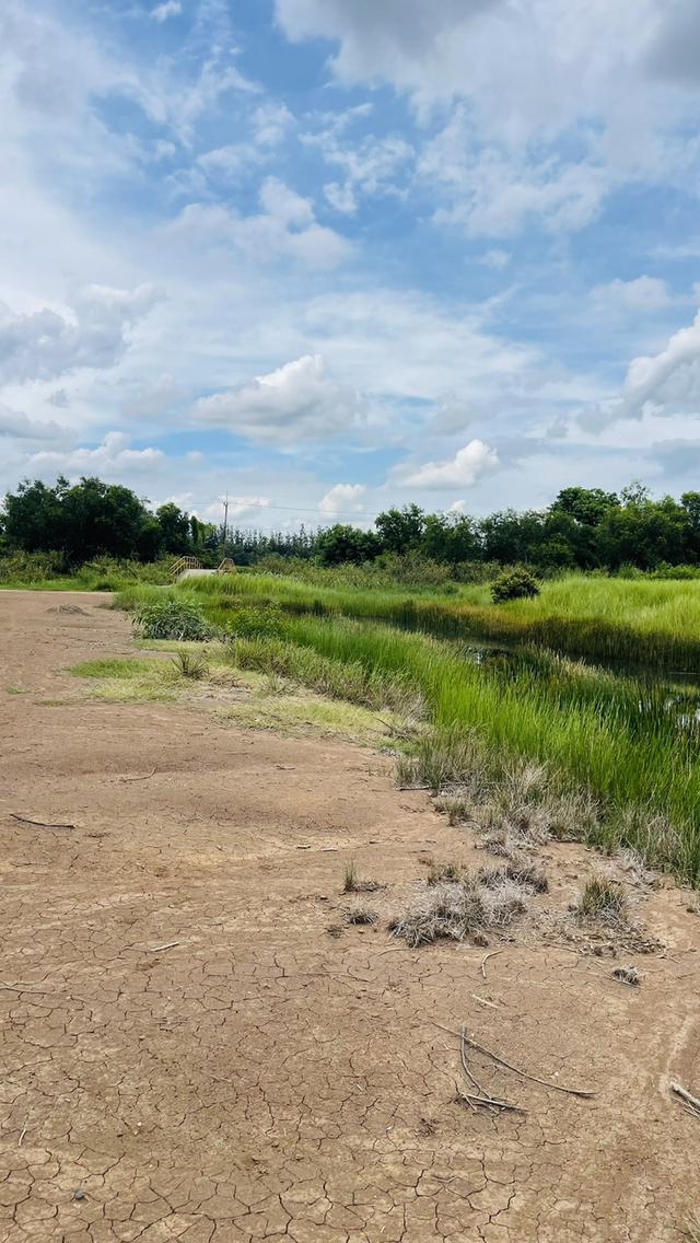 ขายที่ดินนครนายก (คลอง 15) เนื้อที่ 22-0-67.6 ไร่ 4