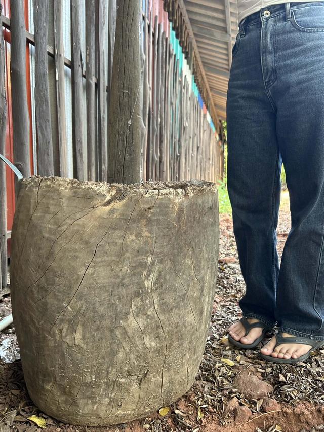 ครกไม้ตำข้าว ครกตำข้าวเปลือกสมัยโบราณ ครกตำข้าวโบราณ พร้อมสากไม้ รูปที่ 3