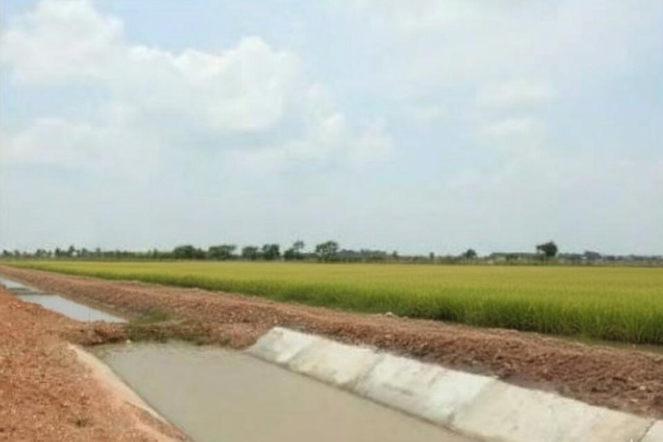 ขายที่ดิน เนื้อที่ 94-0-95 ไร่ อ.พนัสนิคม ใกล้โรงพยาบาลส่งเสริมสุขภาพตำบลหัวถนน 4