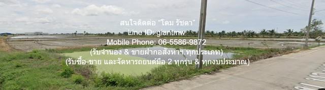 ขายที่ดินผังสีม่วงเข้ม 82-1-27.9 ไร่ บางพลีน้อย บางบ่อ จ.สมุทรปราการ ราคา 310 ล้านบาท (5.5 ล้านบาท/ไร่)