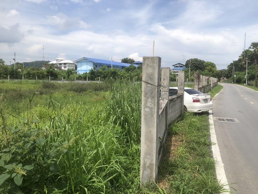 ขาย ที่ดิน นาป่า จังหวัดชลบุรี 5
