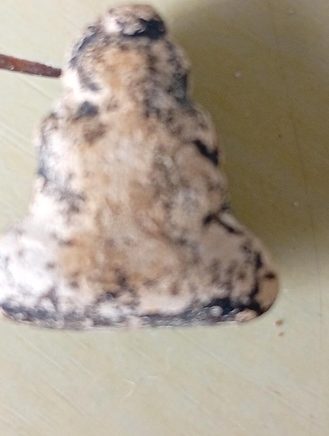 สนใจโทรสถาพร 0945629562