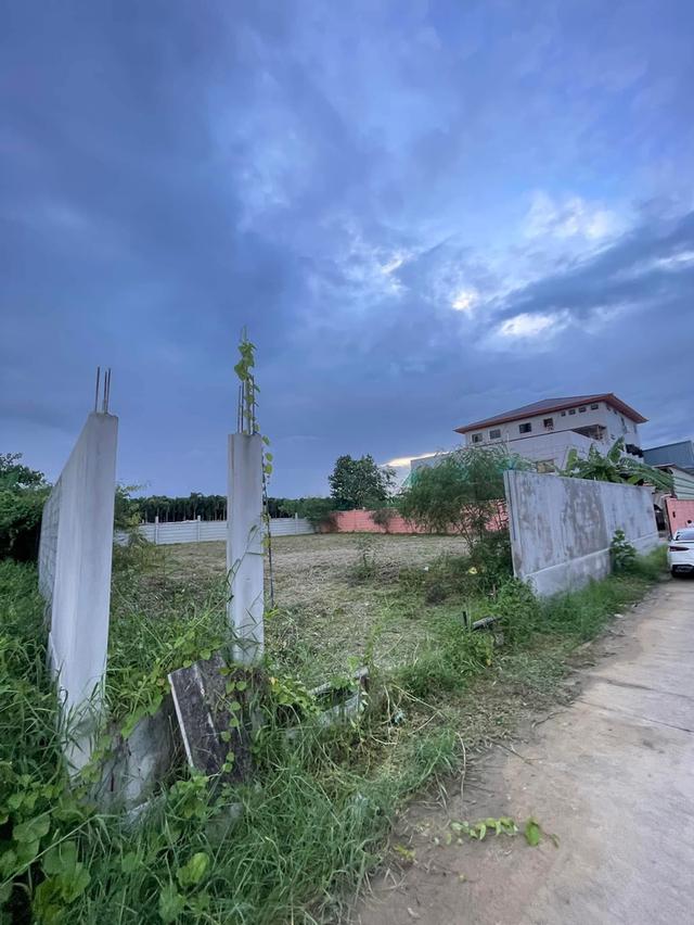 ขายที่ดิน 140 ตรว พุทธมณฑลสาย2  ใกล้พรานกตัดใหม่-สาย4 2
