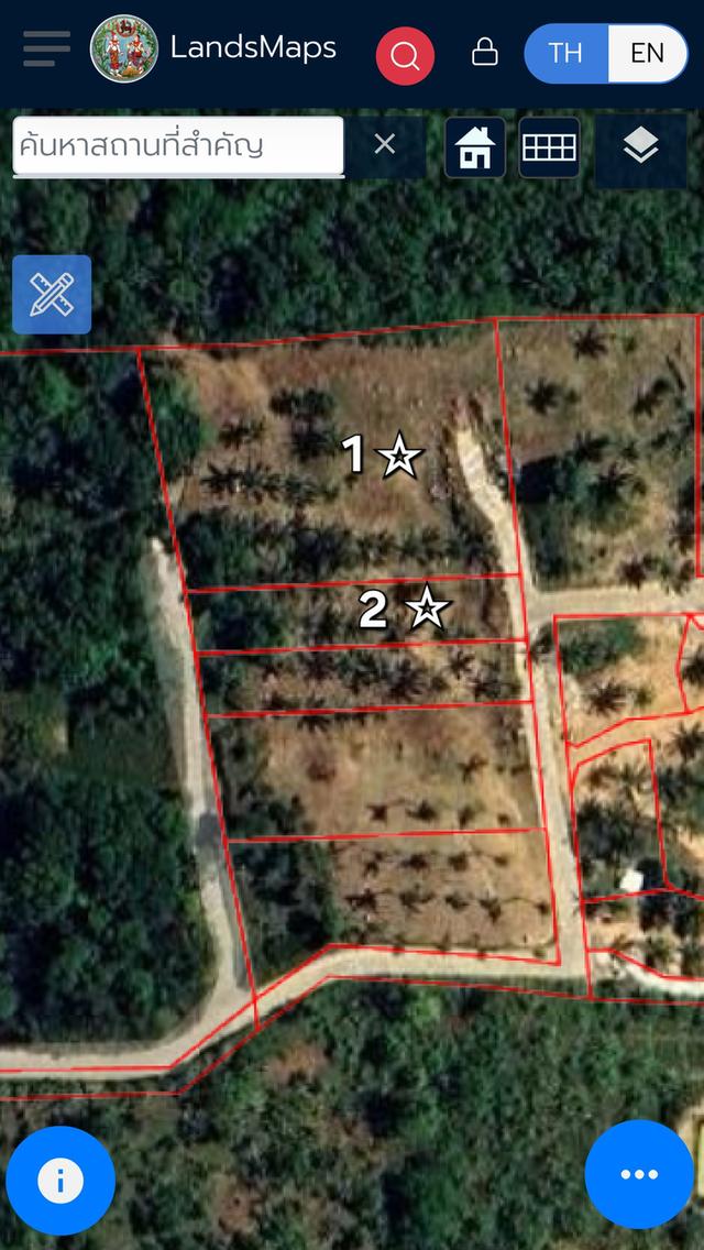 ที่ดินซีวิวบนเกาะสมุยอากาศดี 17