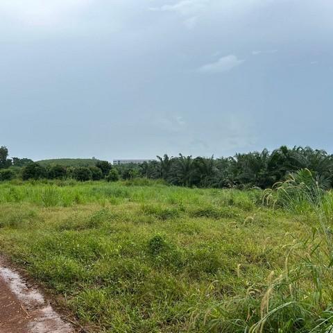 ให้เช่าที่ดินและขายที่ดินหนองใหญ่ชลบุรี 150 ไร่ พื้นที่สีม่วงลาย (ประมาณ 100 ไร่) พื้นที่สีเหลือง (ประมาณ 50 ไร่) 5