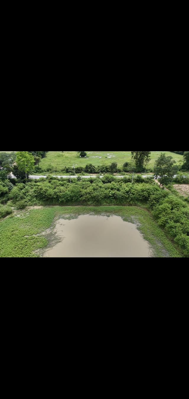 ขายที่ดินแปลงใหญ่อุดร100ไร่ 10