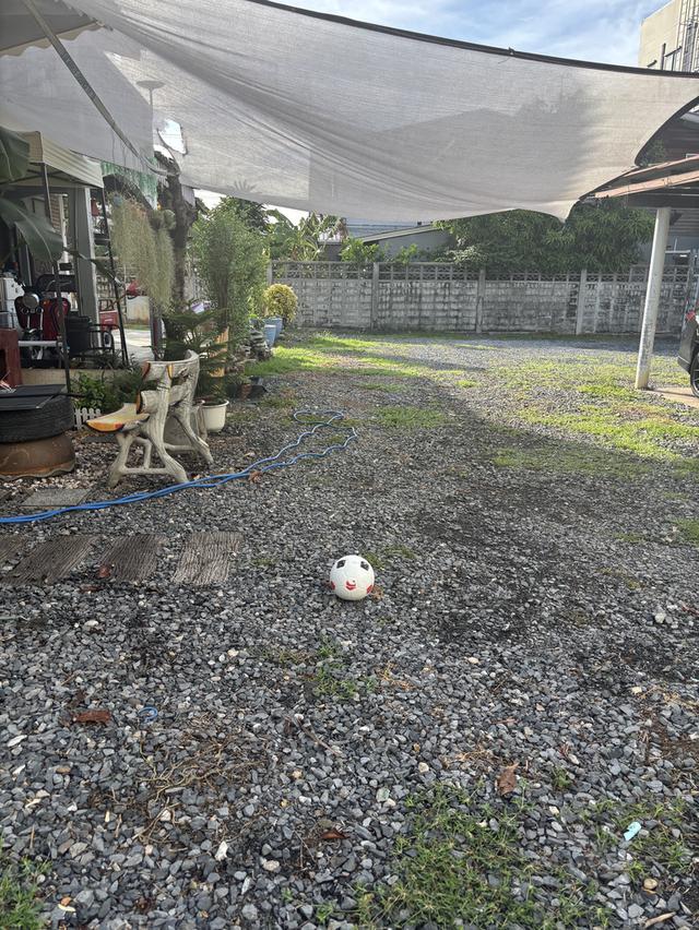 บ้านเก่า + ที่ดินทำเลดี ราคาหลักล้านบ้านอาจไม่ใหม่ แต่ที่ดินหายาก 3