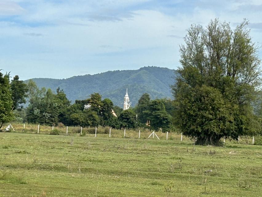 ที่ดิน ราคาถูก ๆราคานี้ หาไม่ได้เเล้ว  โฉนดครุฑเเดง 4