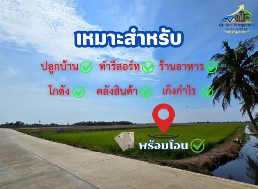 ขายที่ดินเปล่า 951 ตารางวา ใกล้ถนน 304 ตำบลคลองอุดมชลจร เมืองฉะเชิงเทรา ใกล้แม็คโคร ฉะเชิงเทรา 3