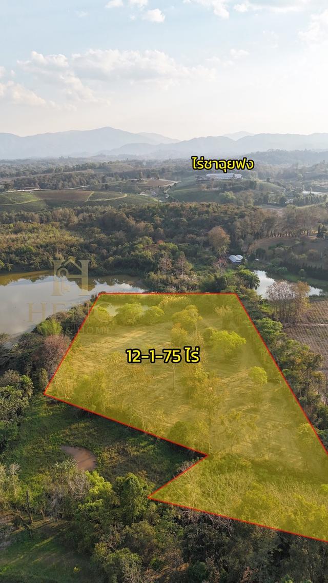 ประกาศขายที่ดิน ทำเลศักยภาพ ใกล้ไร่ชาฉุยฟง ตำบลศรีค้ำ อำเภอแม่จัน จังหวัดเชียงราย 57110 5