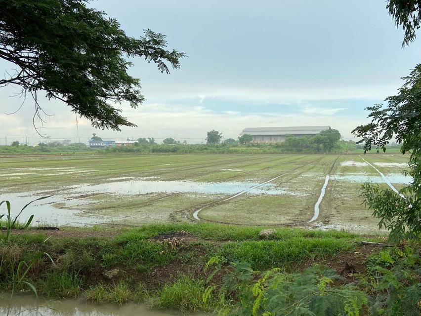 ขายที่ดินเปล่า อำเภอนครหลวง จังหวัดพระนครศรีอยุธยา 6,052 ตารางวา 4