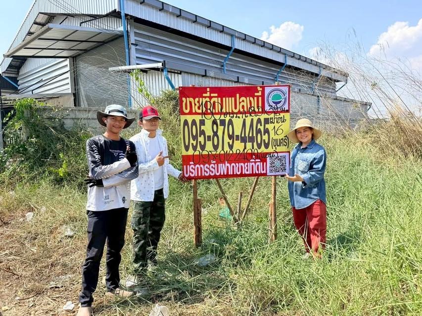 ขายด่วน ที่ดิน 180 ตารางวา ติดถนนสาธารณะ ถมแล้ว อิน 16 อ.ลาดหลุมแก้ว จ.ปทุมธานี 2