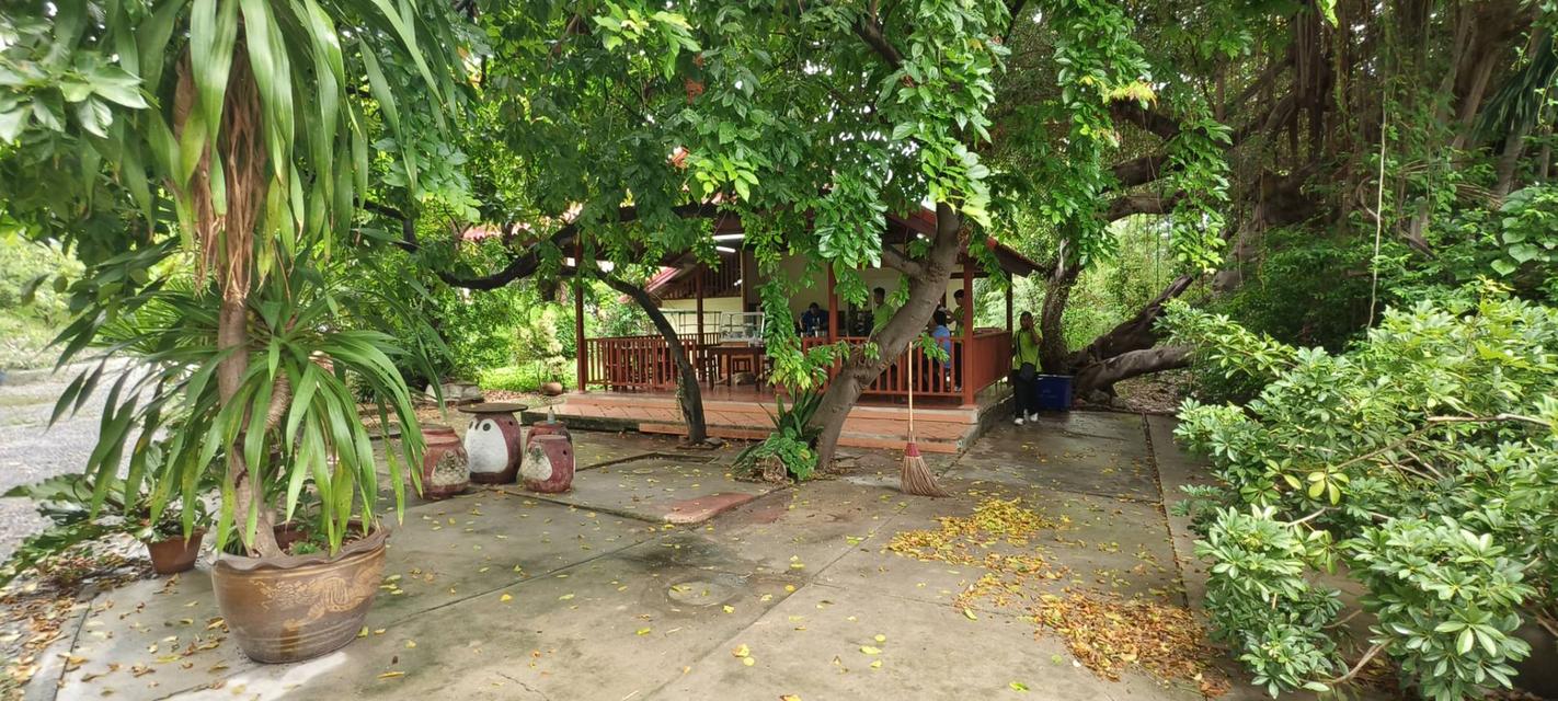 ขายที่ดินพร้อมบ้านเดี่ยว 2 ชั้น 3 ไร่ ซ.เทศบาลบางปู 55 (ซ.ยัวซ่า) ใกล้รถไฟฟ้าBTS สถานีเคหะฯ ถ.สุขุมวิท ต.ท้ายบ้านใหม่ อ.เมือง สมุทรปราการ  14