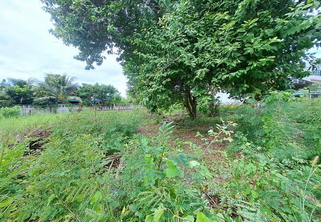 ขายที่ดิน ซอยศาลาธรรมสพน์ 13 ถนนบรมราชชนนี เขตทวีวัฒนา กรุงเทพมหานคร 6