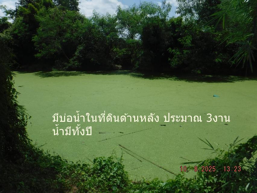 ขายที่ดิน 12ไร่หรือแบ่งขาย9ไร่ ได้ ราคาไร่ละ 6 แสน ต.ห้วยแห้ง อ.แก่งคอย 13