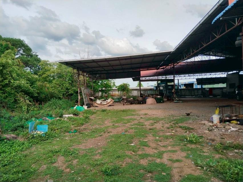 ขายบ้านพร้อมที่ดินเเละกิจการ 3