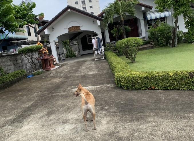 ที่ดินพร้อมสิ่งปลูกสร้าง
