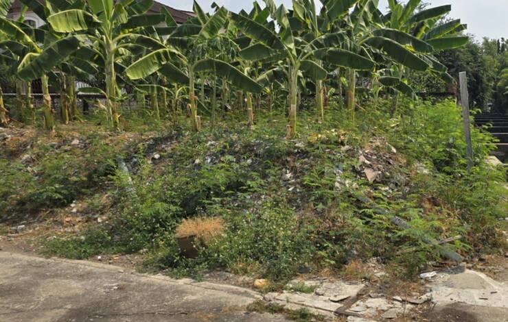 ขายที่ดินเปล่า ขนาด 61 ตร.วา ถ.สุทธิสาร-รัชดาฯ ใกล้ MRTสุทธิสารสายสีน้ำเงินเพียง 600 ม. 2