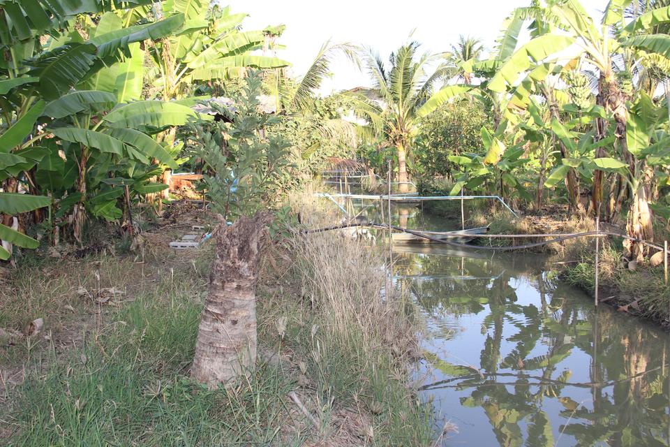 ขายที่ดินสวย อำเภอกำแพงแสน  จังหวัดนครปฐม 5 ไร่ 5 ตารางวา 7