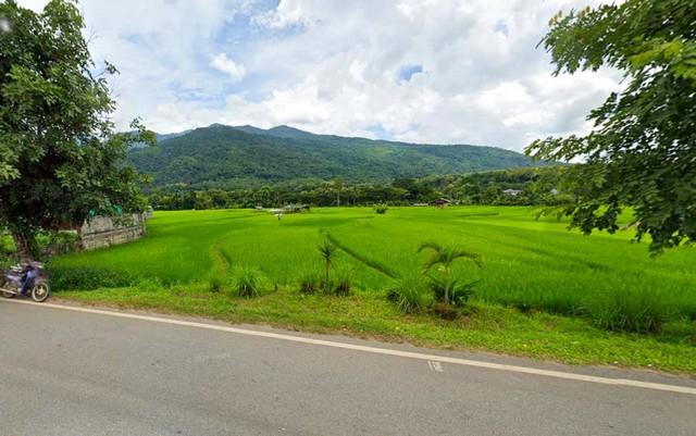 ที่ดินติดถนนใหญ่วิวดอยภูคา เหมาะสำหรับทำร้านคา คาเฟ่ ร้านอาหาร ฯลฯ 4