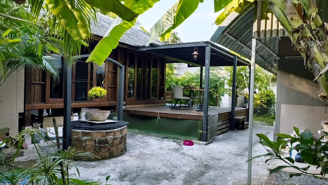 ให้เช่าบ้านนอกโครงการ สันผักหวาน เชียงใหม่ 2