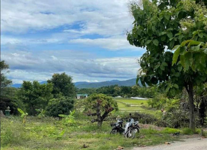 🌳ขายที่ดินเจ้าของขายเอง ด่วน📌 8