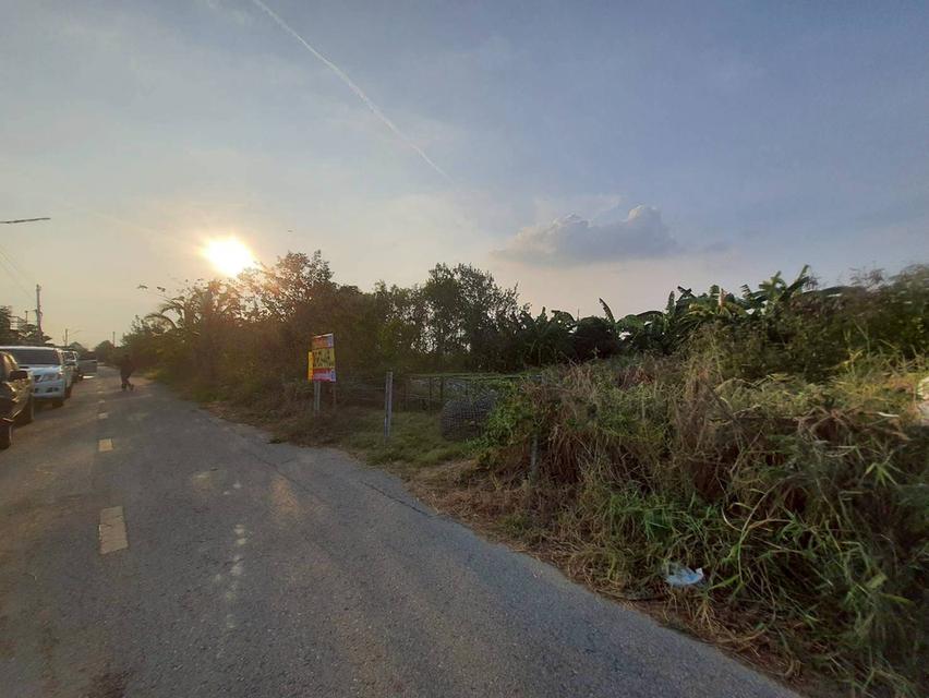 ขายด่วนที่ดิน 50 ตรว ติดถนนสาธารณะ ถมแล้ว ซ.คลองสี่ ตอ.14/1 คลองหลวง ปทุมธานี 7