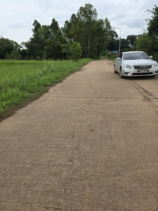 ที่ดิน จังหวัดปราจีนบุรี 2