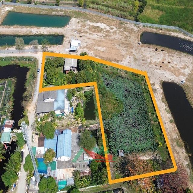 ขายที่ดินพร้อมบ้านและบ่อบัว ขนาด1-1-66ไร่ ซ.วัดเวฬุวนาราม18 ราคาพร้อมคุย 4