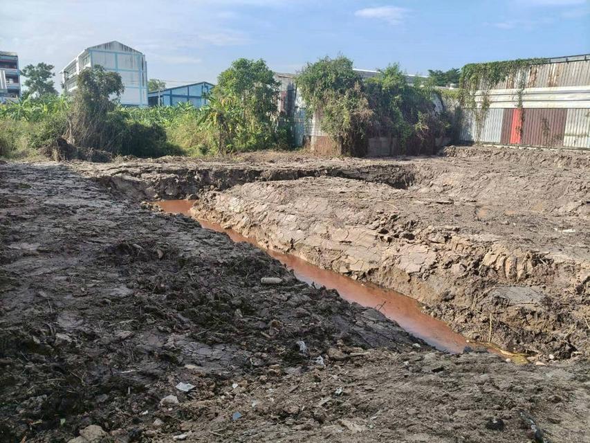 ให้เช่าที่ดิน 200 ตารางวา ทางเข้า รร.เทศบาลเมืองปทุมธานี ถนน 346 บางปรอก เมืองปทุมธานี 7