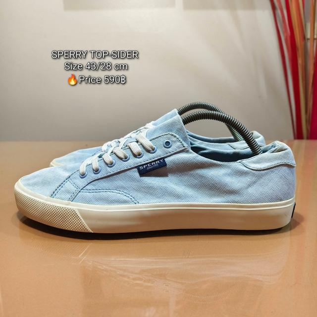 SPERRY TOP-SIDER Size 43