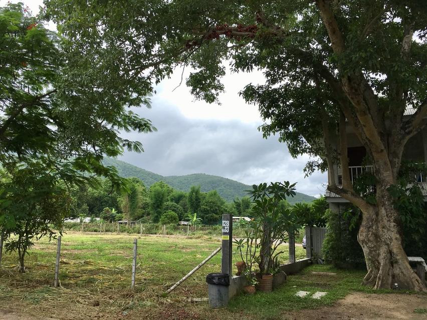 บ้านเชียงใหม่ ใกล้มช. วิวเขา 7