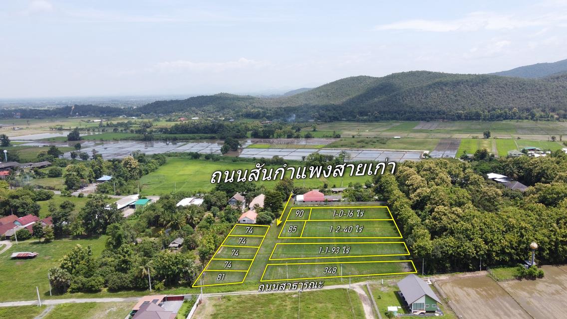 ที่นาแบ่งขาย 11 แปลง ติดถนนสันกำแพงสายเก่า วิวดอย ราคาถูก 5