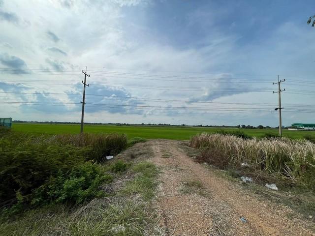 ขายทำเลดีและพื้นที่ที่ดินสวยมาก  ต.บางพระขาว อ.บางบาล จ.พระนครศรีอยุธยา 1