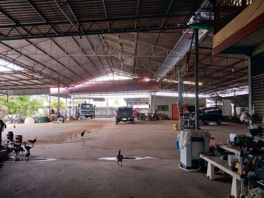 ขายบ้านพร้อมที่ดินเเละกิจการ 2