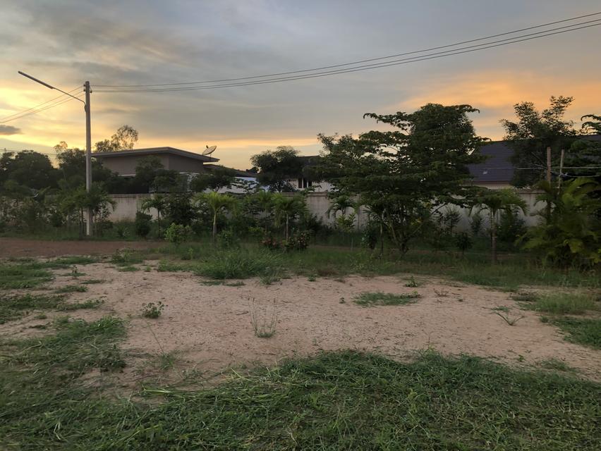 ขายที่ดิน 4 ไร่ พร้อมบ้านสวน ติดทางหลวง (ทล.1272 เมืองเก่า-คีรีมาศ) ใกล้อุทยานประวัติศาสตร์สุโขทัย  4