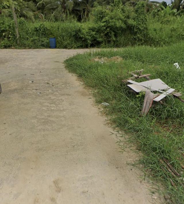 ที่ดินเปล่า ตำบลบางช้าง 1