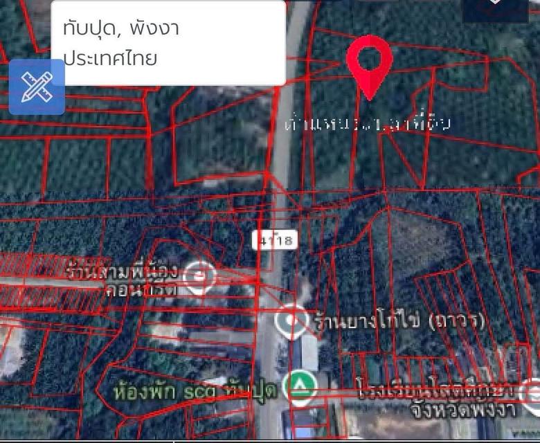 ที่ดินสวยๆ 13 ไร่กว่า จังหวัดพังงา 2
