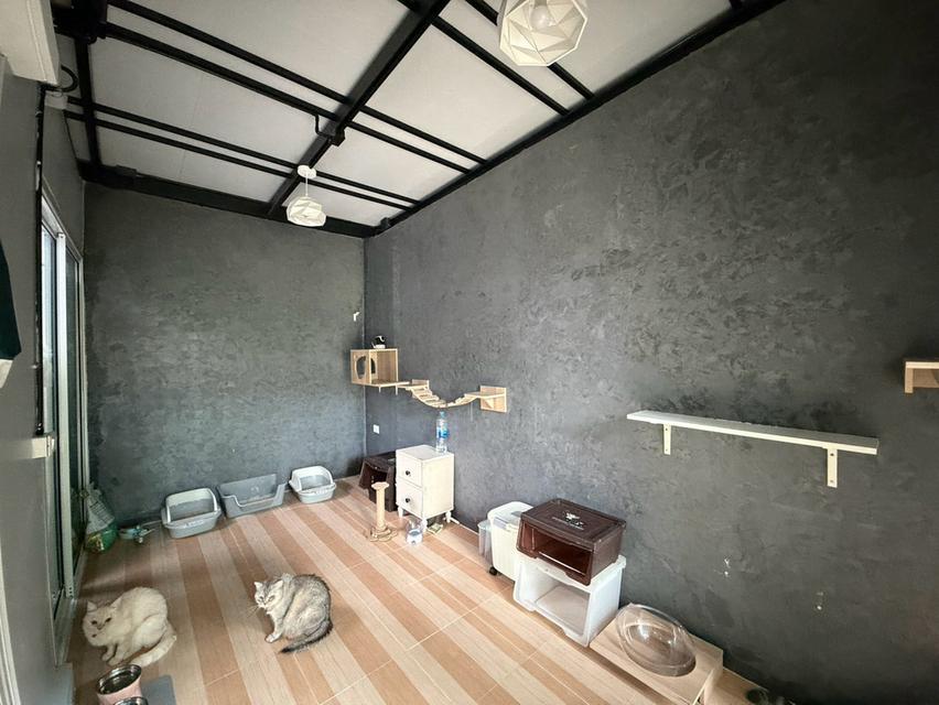 บ้านจัดสรร (บ้านเดี่ยว) 8
