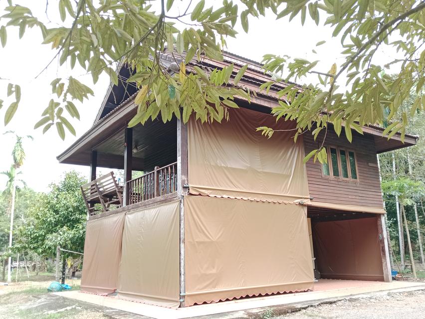 ขายที่ดินสวนผลไม้-บ้านเรือนไทย 1 หลัง 5