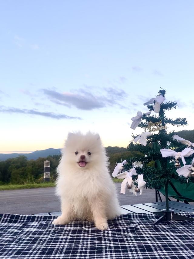 ปอม ชายจริงหญิงแท้ น่ารักๆ