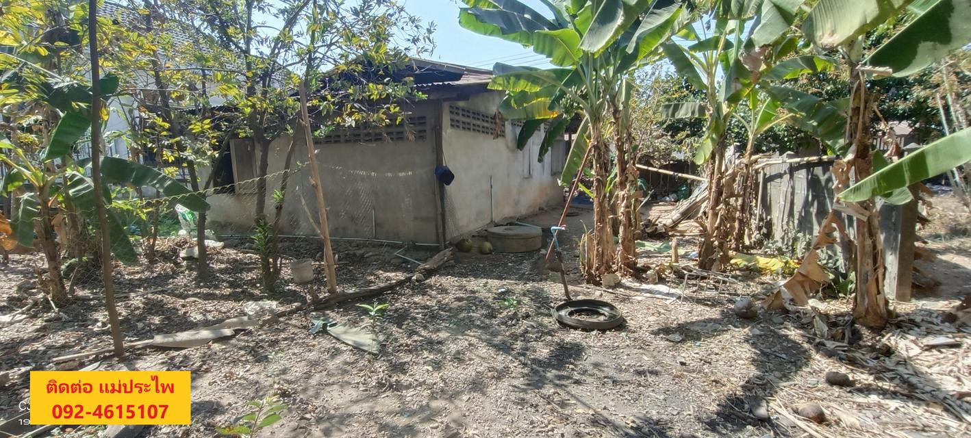 ที่ดิน มีสิ่งปลูกสร้าง 245 ตรว. หนองคาย 8