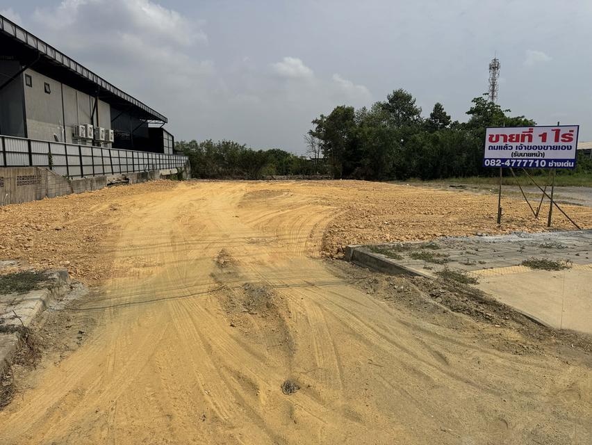 ที่ดินเปล่า ทำเลดี ติดถนน 2