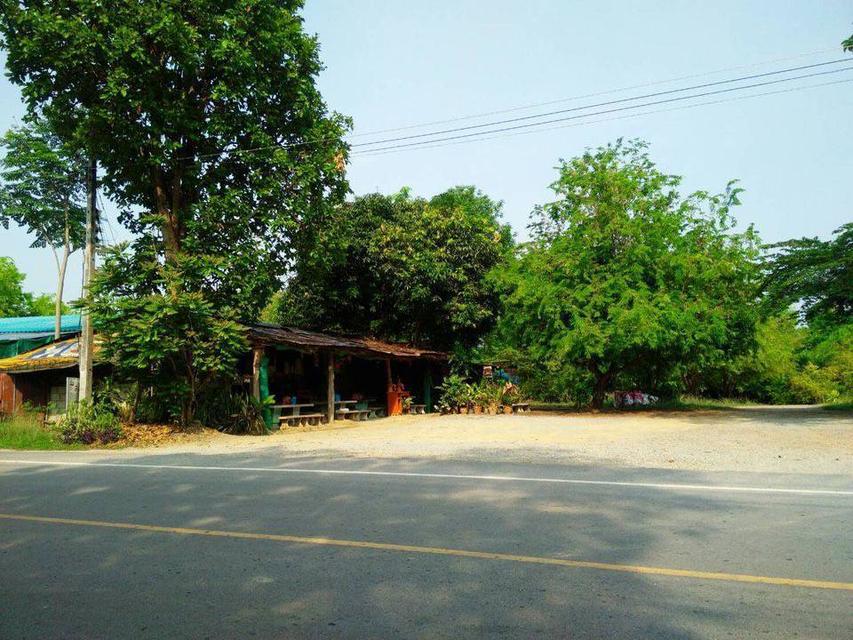ขายที่ดิน 4 ไร่ ทำเลสวย ติดถนนทางเข้า มหาลัยแม่โจ้แพร่ จังหวัดแพร่ 5