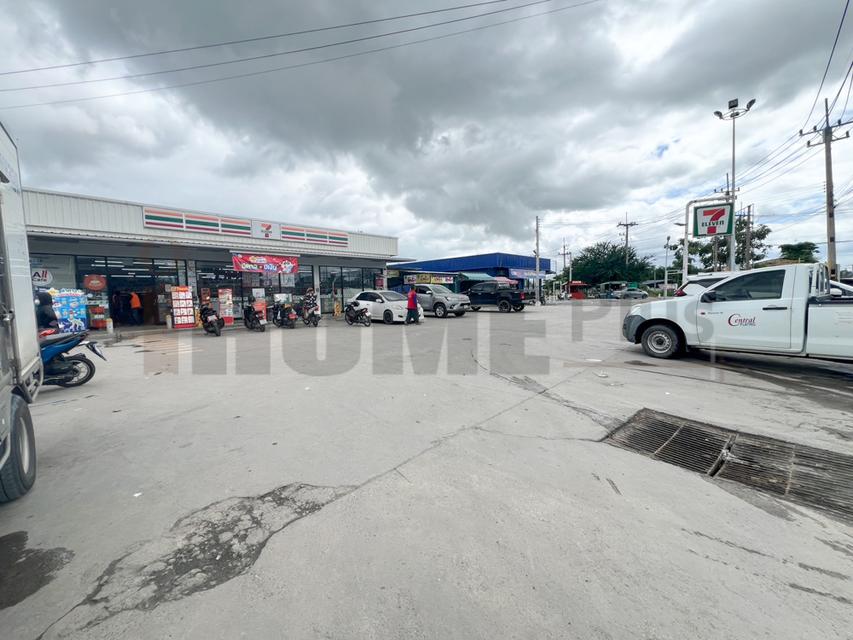 ขาย ที่ดิน บ้านบึง หนอง บอน แดง ชลบุรี(พร้อมสิ่งปลูกสร้าง) รูปที่ 11