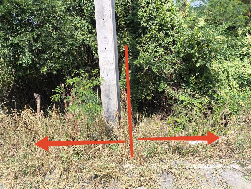 ที่ดินย่านไทรน้อย 225 ตรว 3